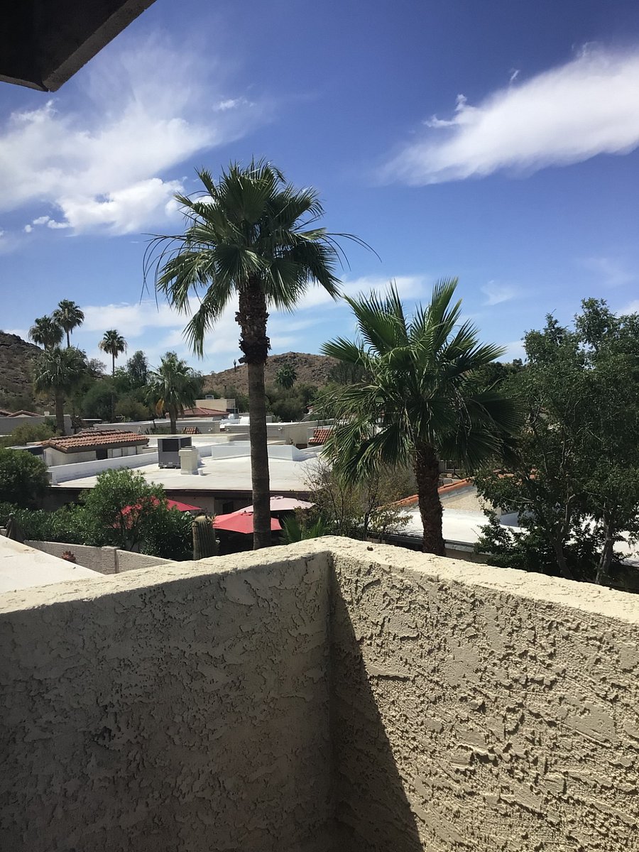 View from the deck off the TV room