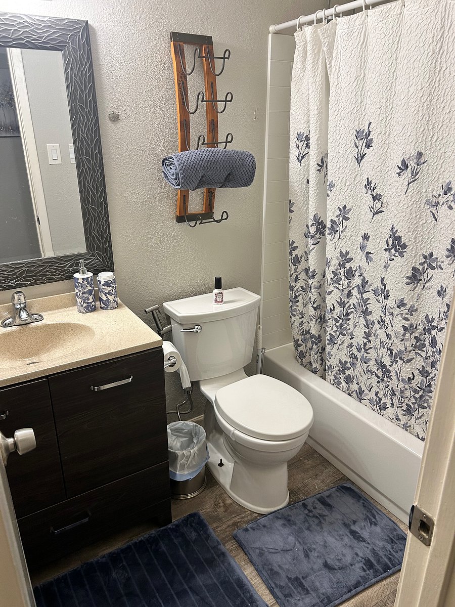 Furnished Finder property 261397_1 photo 12