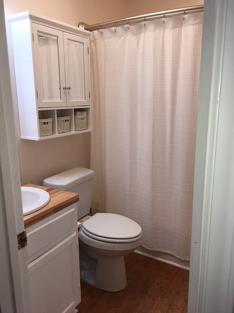 Furnished Finder property 261418_1 photo 11
