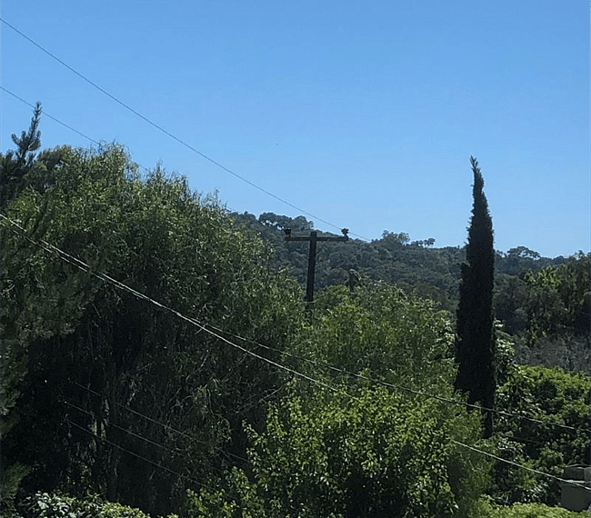 View out of window