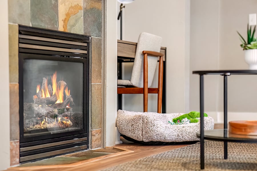 Even your dog can curl up by the fire. :)