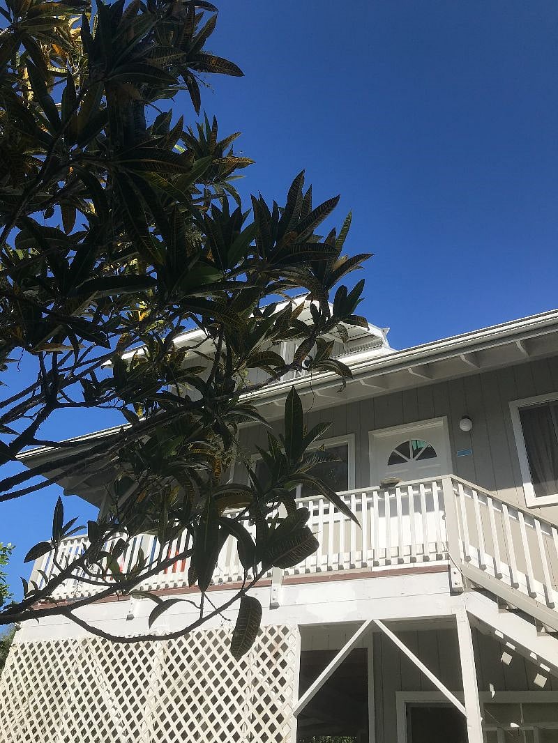 Furnished Finder property 261662_1 photo 15
