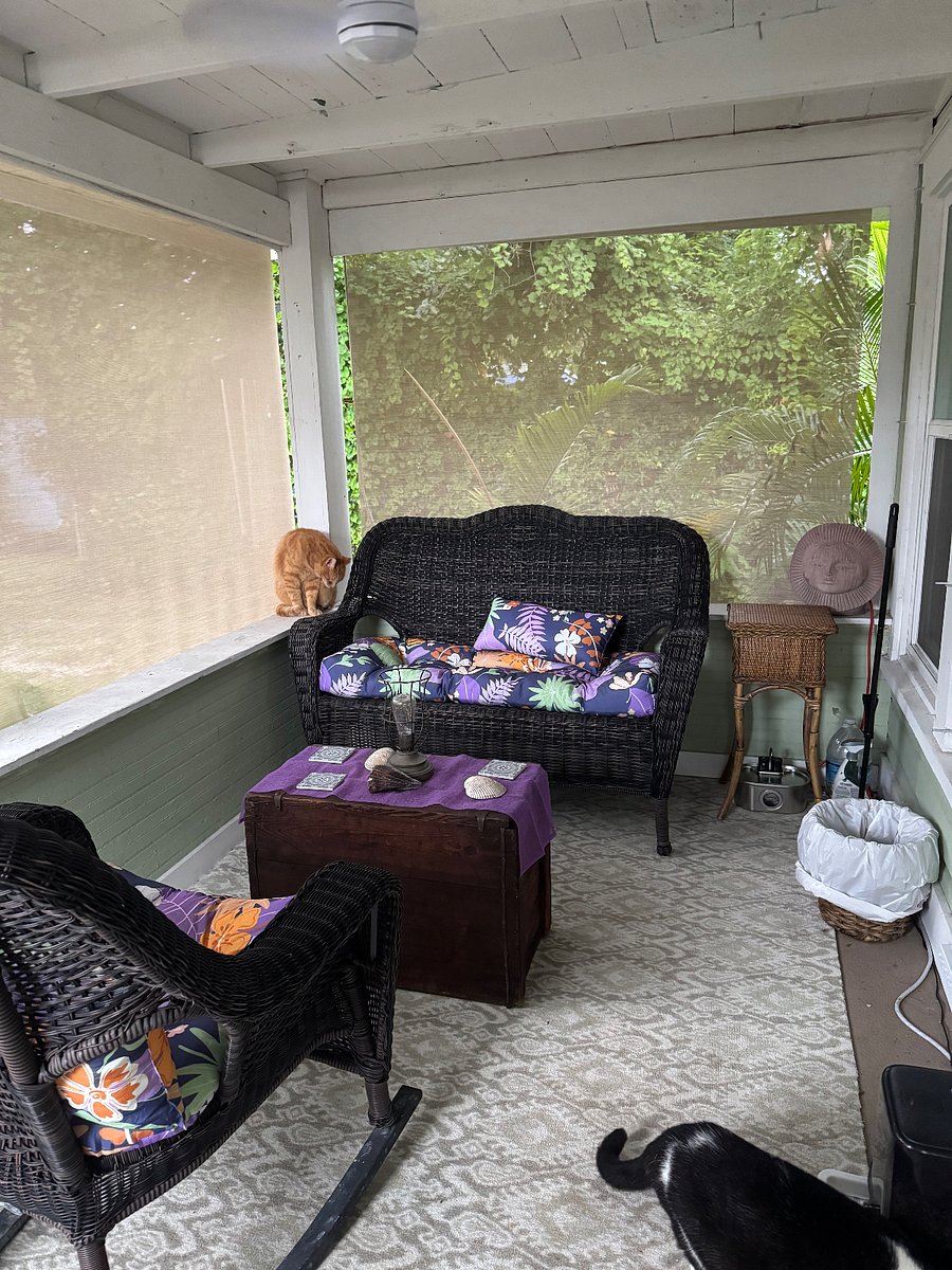 Furnished Finder property 261735_1 photo 18