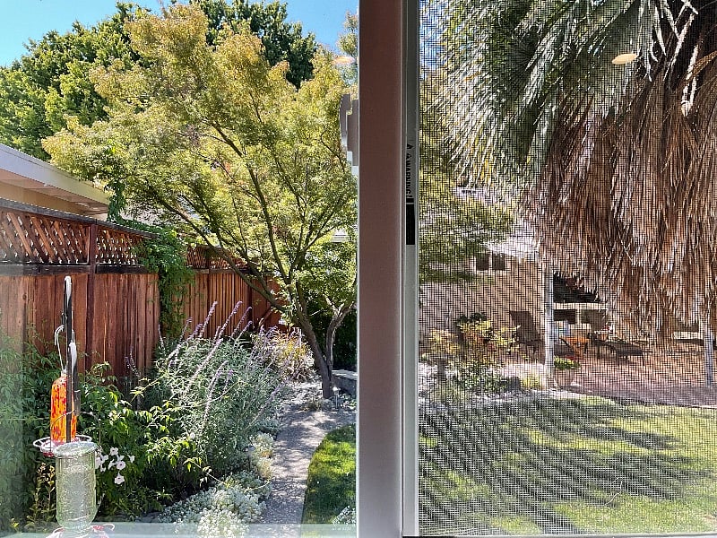 Kitchen window looks out to the landscaped yard.