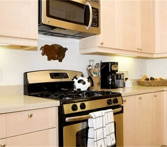 Furnished Finder property 261809_1 photo 9