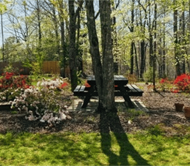 Furnished Finder property 261885_1 photo 23