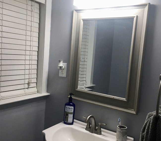 Furnished Finder property 262037_1 photo 16