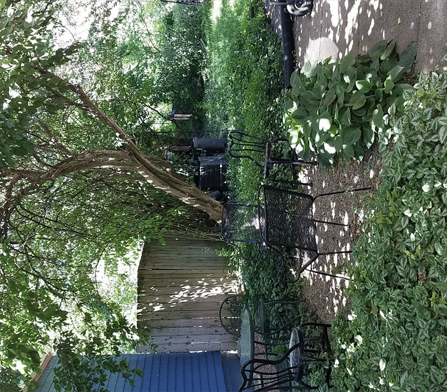 Furnished Finder property 262120_1 photo 12