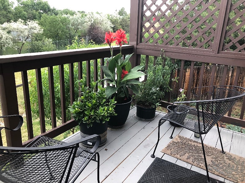 Furnished Finder property 262127_1 photo 27