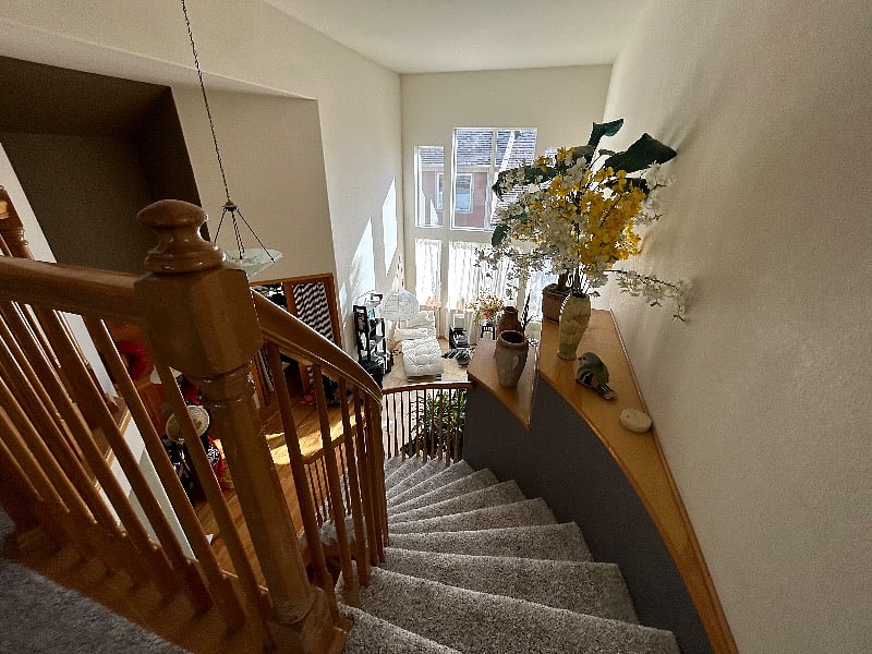 Furnished Finder property 262127_1 photo 12