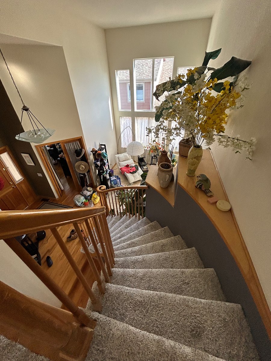 Furnished Finder property 262127_1 photo 29