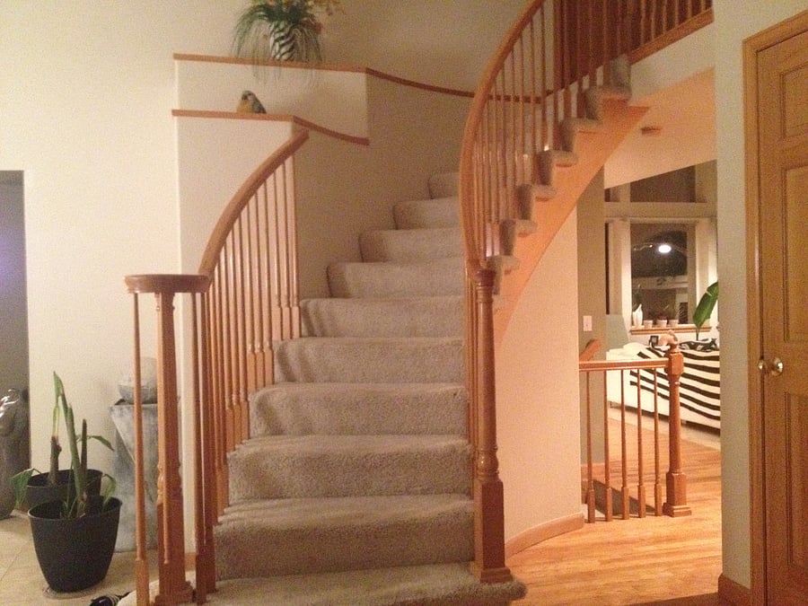 Furnished Finder property 262127_1 photo 31