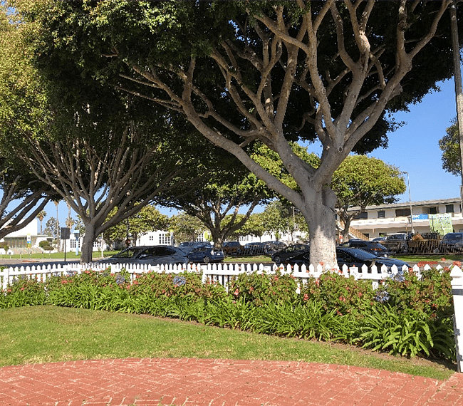 We are conveniently situated near SMC, Virginia Park, Santa Monica Swim Center, as well as local markets, restaurants and small family-owned businesses.