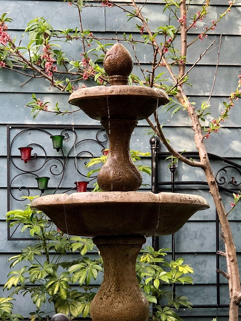 Our mossy stone water feature draws humming birds, sparrows and other wildlife, while providing a gentle trickling sound that creates a peaceful haven for our guests.