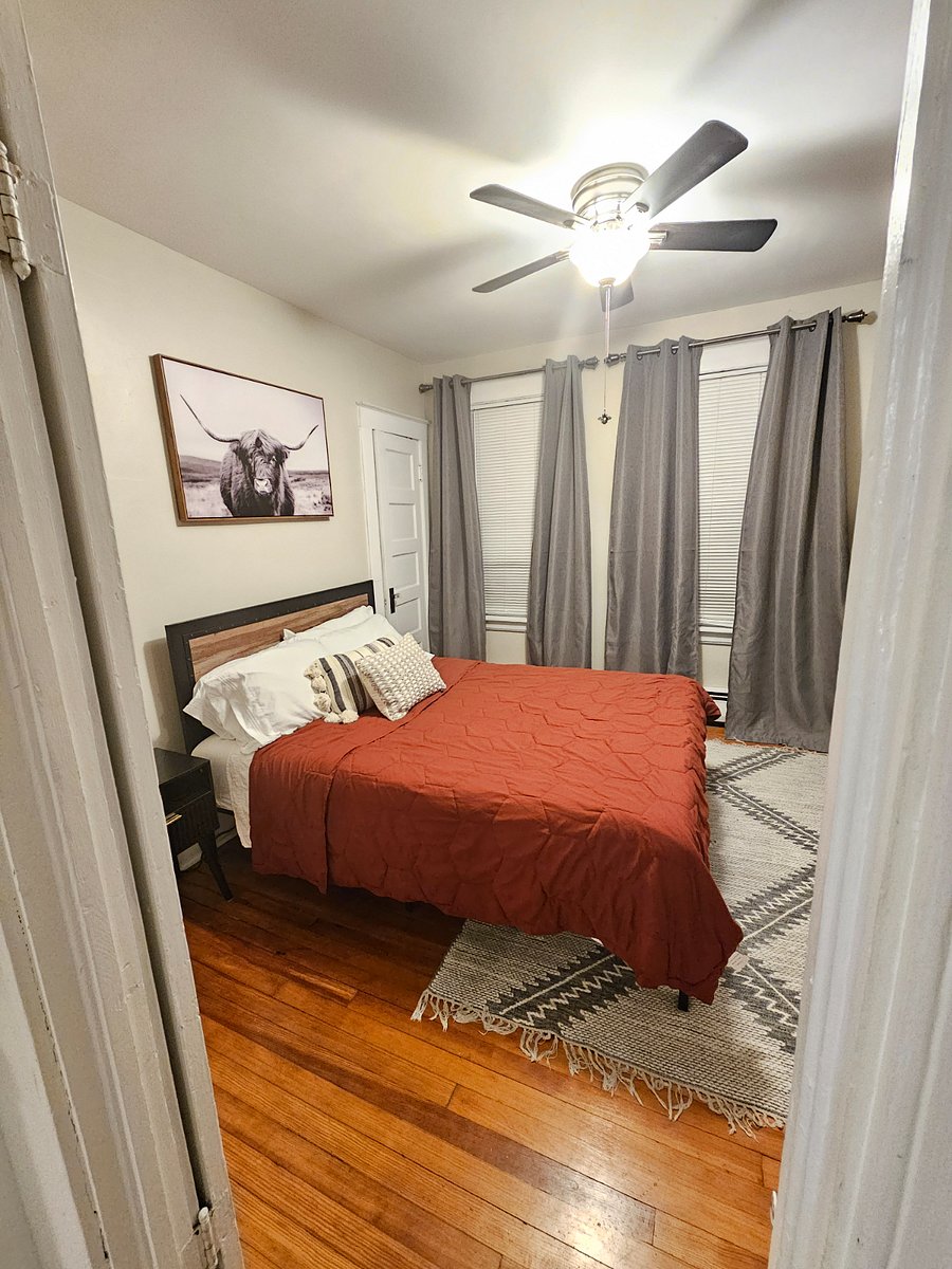 Furnished Finder property 262160_1 photo 17