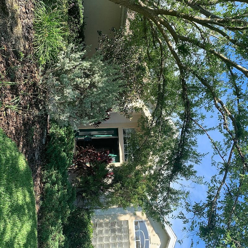 Furnished Finder property 262374_1 photo 42