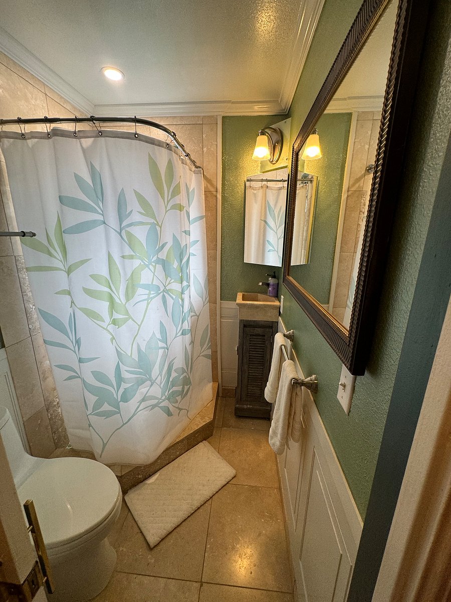 Furnished Finder property 262464_2 photo 13
