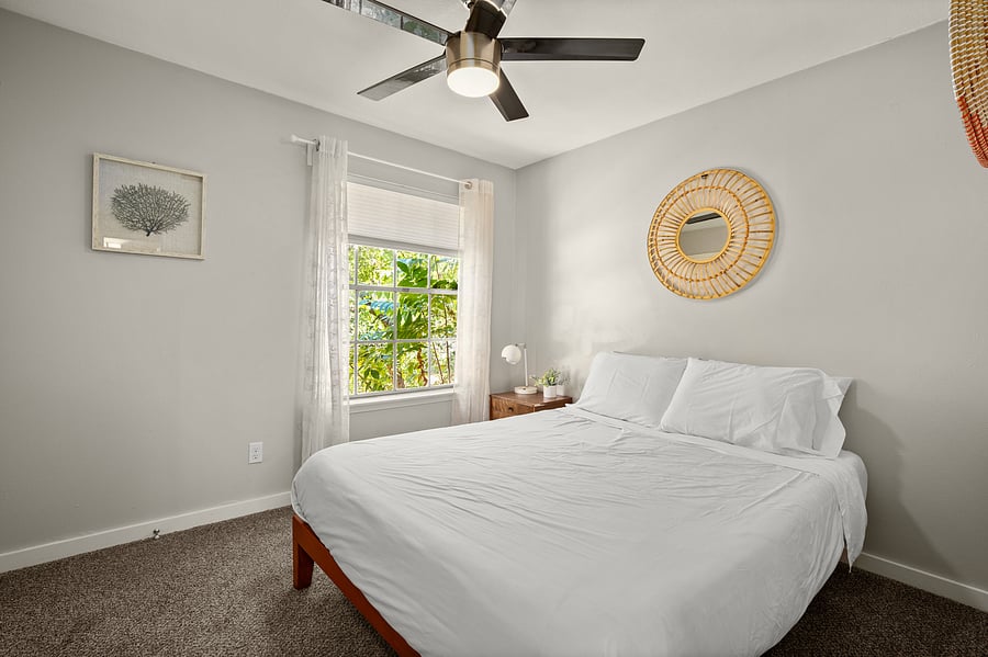 Furnished Finder property 262535_1 photo 6