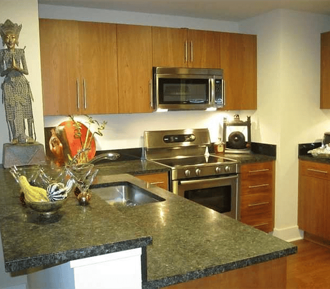 Furnished Finder property 262596_1 photo 5