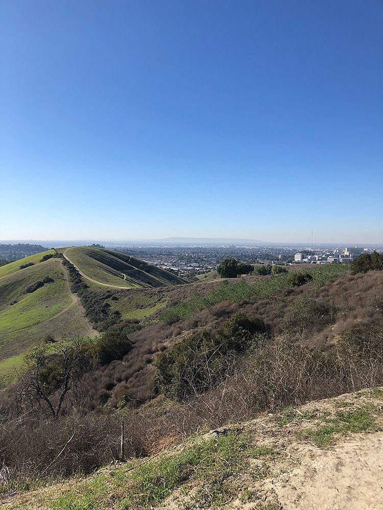 The top of the Ascot Hills hike.