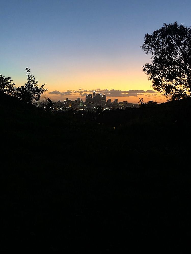 DTLA at night from the Ascot Hills Hike.