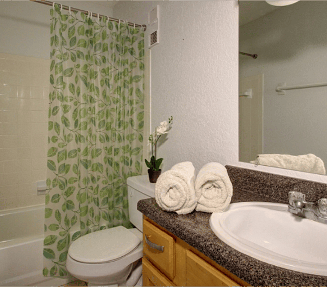 Furnished Finder property 262665_1 photo 4