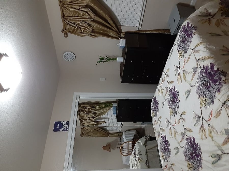 Furnished Finder property 262708_2 photo 9
