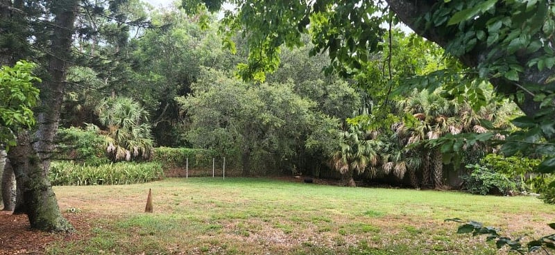Furnished Finder property 262738_1 photo 19