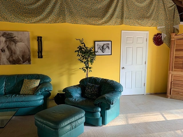 Furnished Finder property 262738_1 photo 5