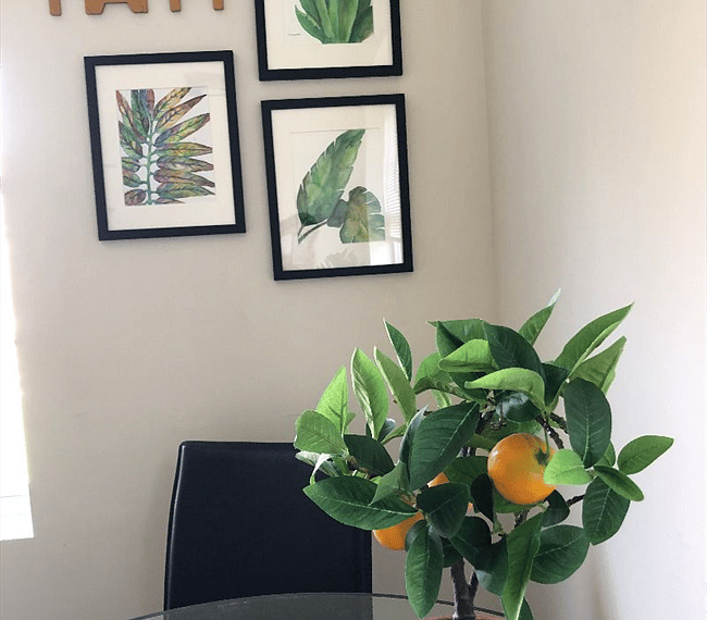 Furnished Finder property 262740_1 photo 18