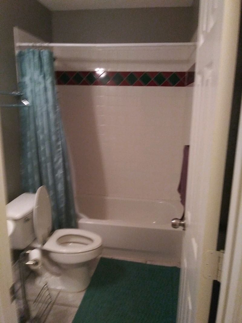 Furnished Finder property 262748_1 photo 8
