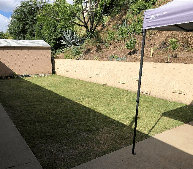 Furnished Finder property 262954_1 photo 13