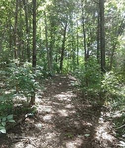 Hiking trail around the corner over 2 miles long.