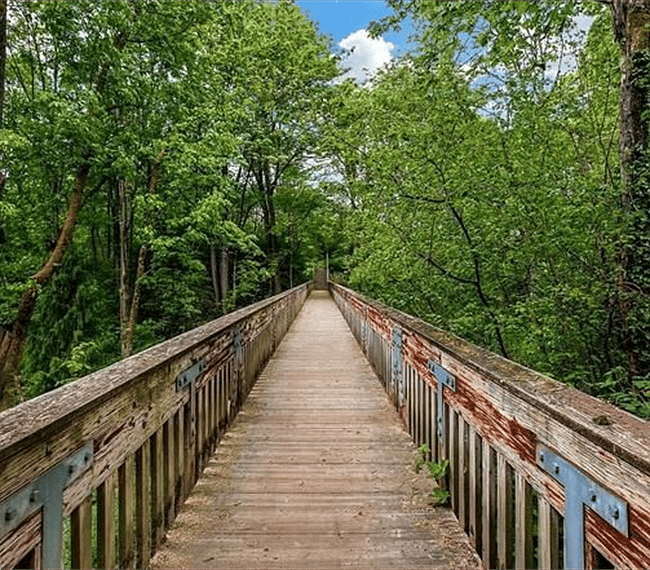 Bridge to the best bakery! :)