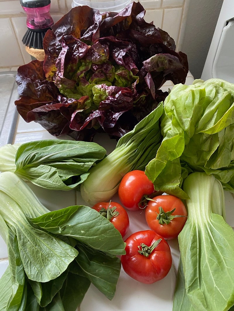 Farm to Table- Weekly Farm Markets at Farmers Lane and Luther Burbank Center,