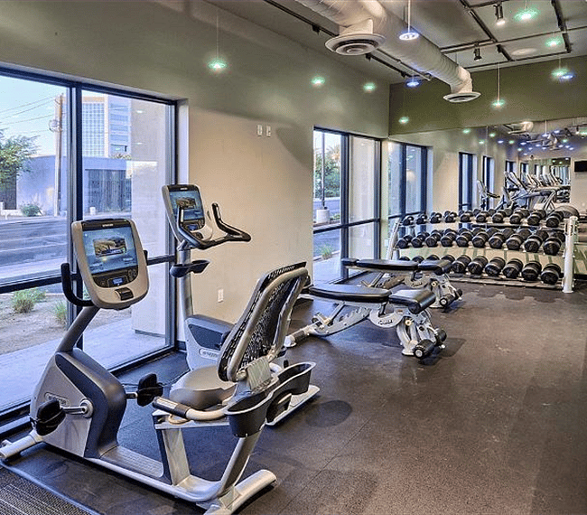 Gym free weights