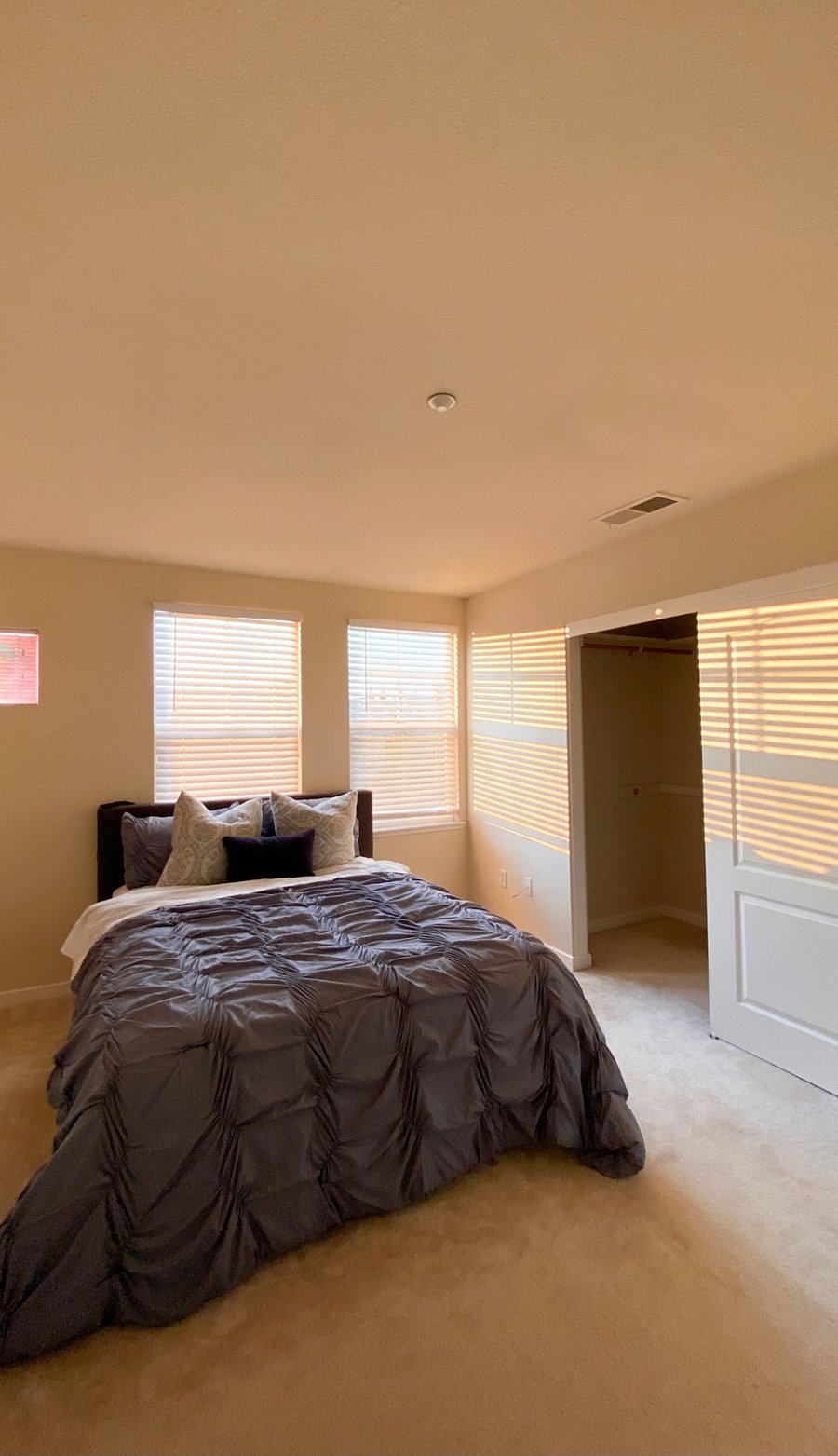 Furnished Finder property 263185_1 photo 11