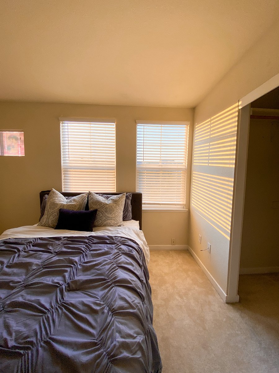 Furnished Finder property 263185_1 photo 12