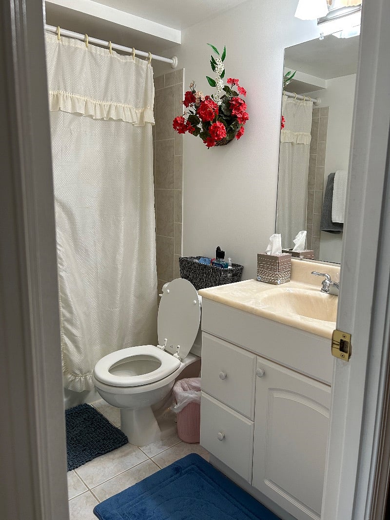 Furnished Finder property 263196_1 photo 4