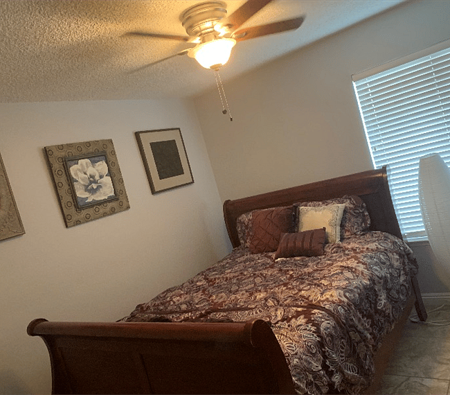 Furnished Finder property 263286_1 photo 5