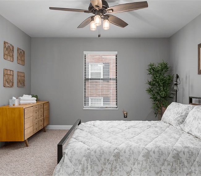Furnished Finder property 263335_1 photo 13