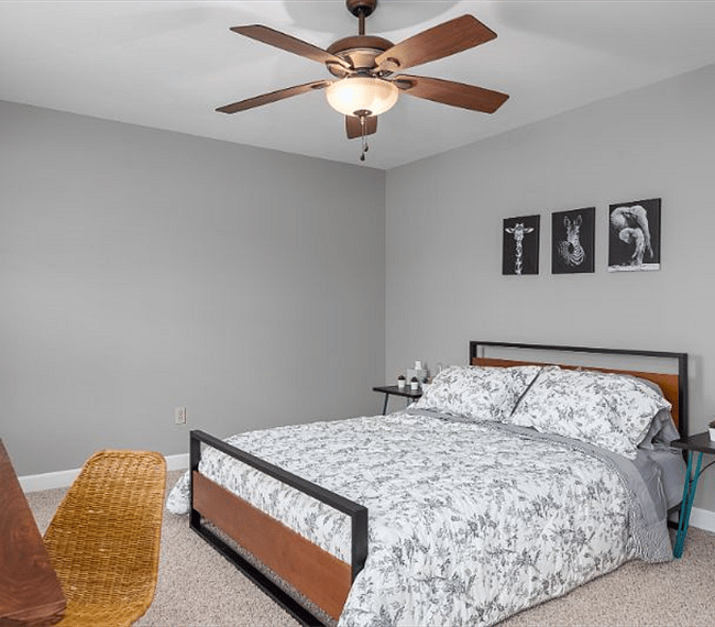 Furnished Finder property 263335_1 photo 18