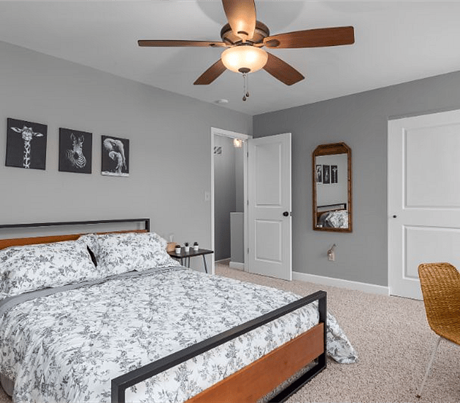 Furnished Finder property 263335_1 photo 19