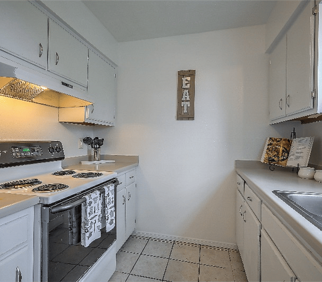 Furnished Finder property 263344_1 photo 13