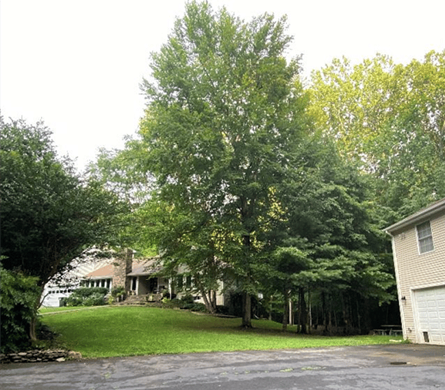 Furnished Finder property 263382_1 photo 18