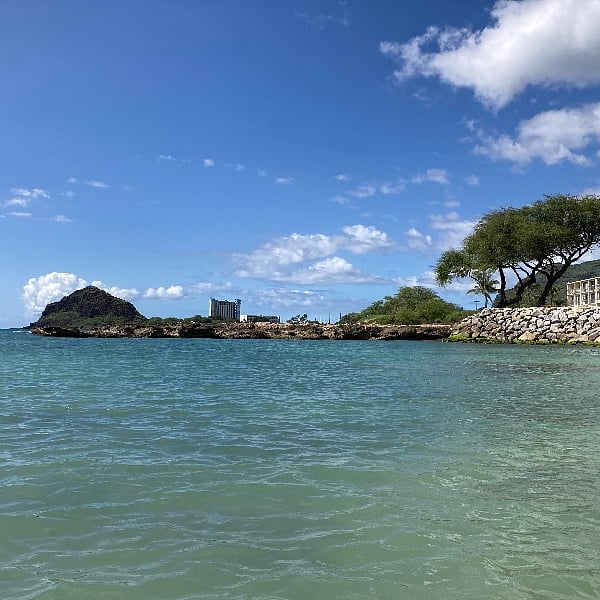 Swim and snorkel in the safe protected cove. Turtles, fish, and I just saw my first octopus there.