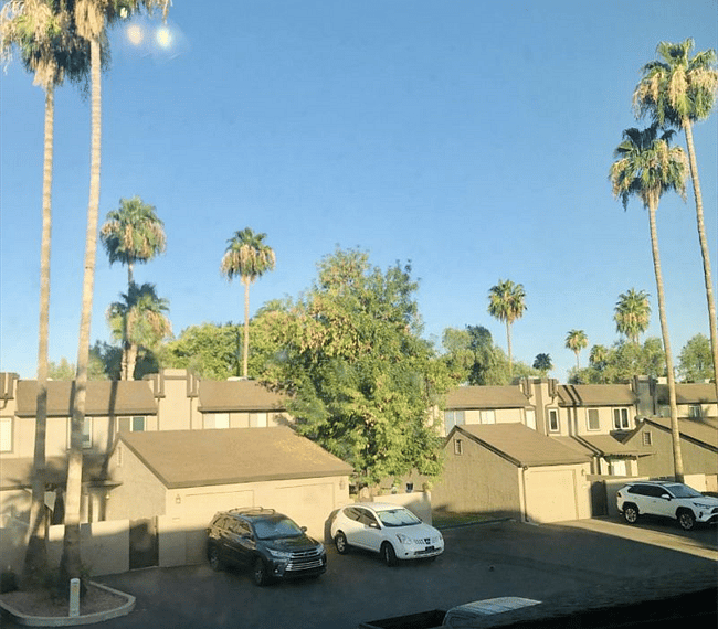 View from the window