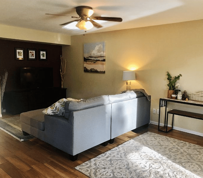 Living with TV and ceiling fan