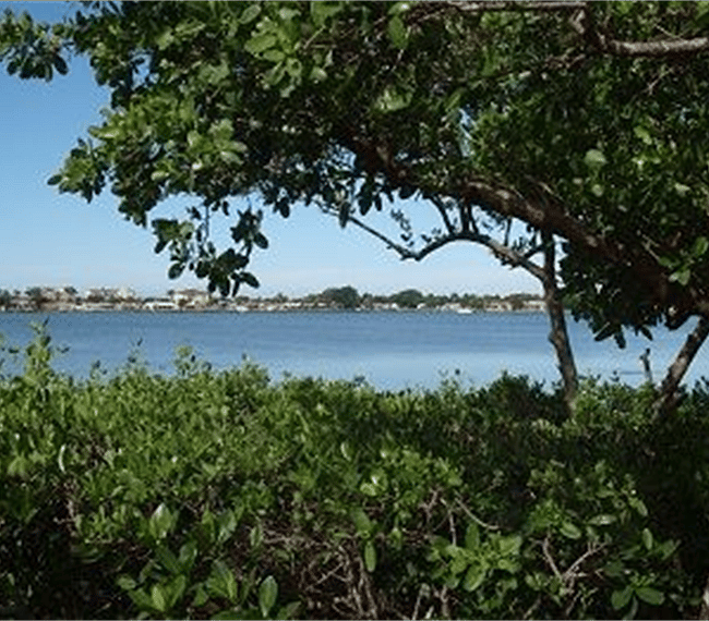 Park next to property