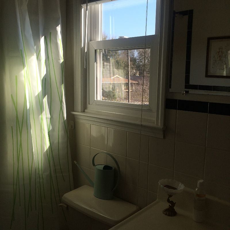 Furnished Finder property 263762_1 photo 6